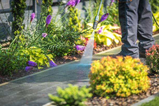 Professional Pressure Washing Services in Crescent City, CA